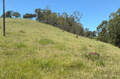 Terreno para venda em Dom Viçoso Mg