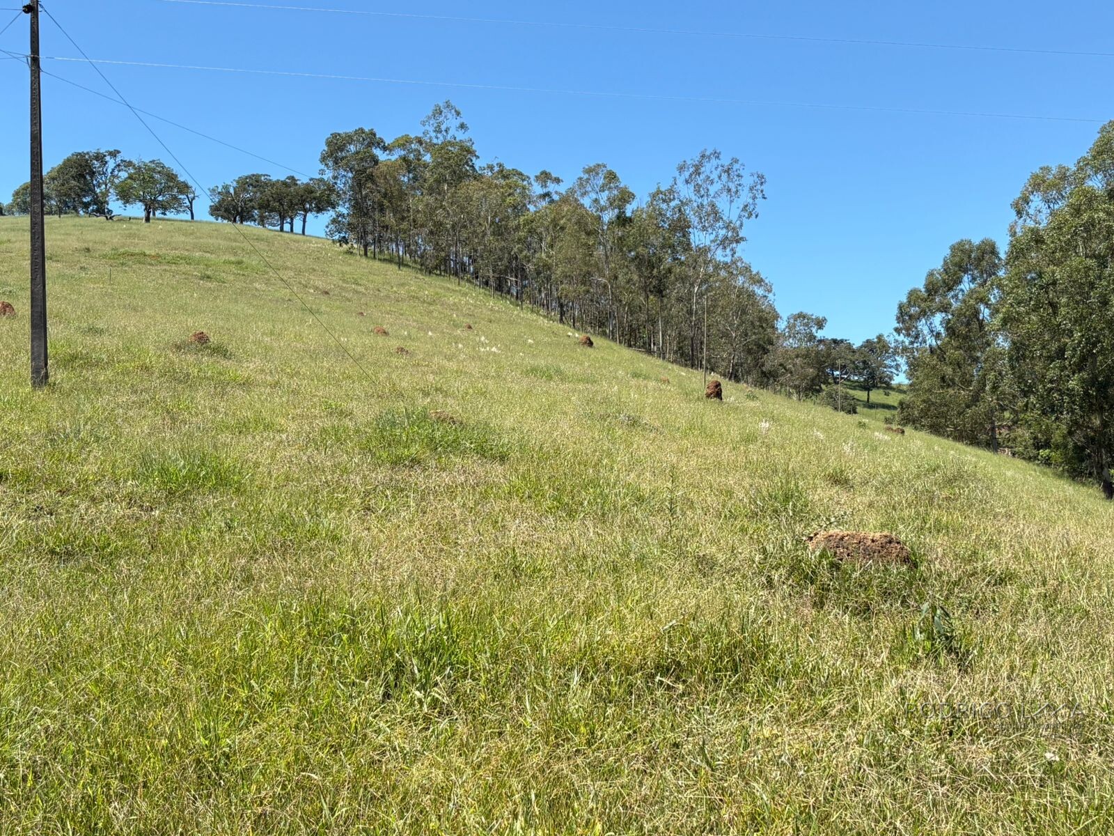 Terreno para venda em Dom Viçoso Mg