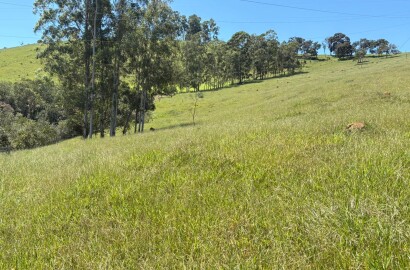 Terreno para venda em Dom Viçoso Mg