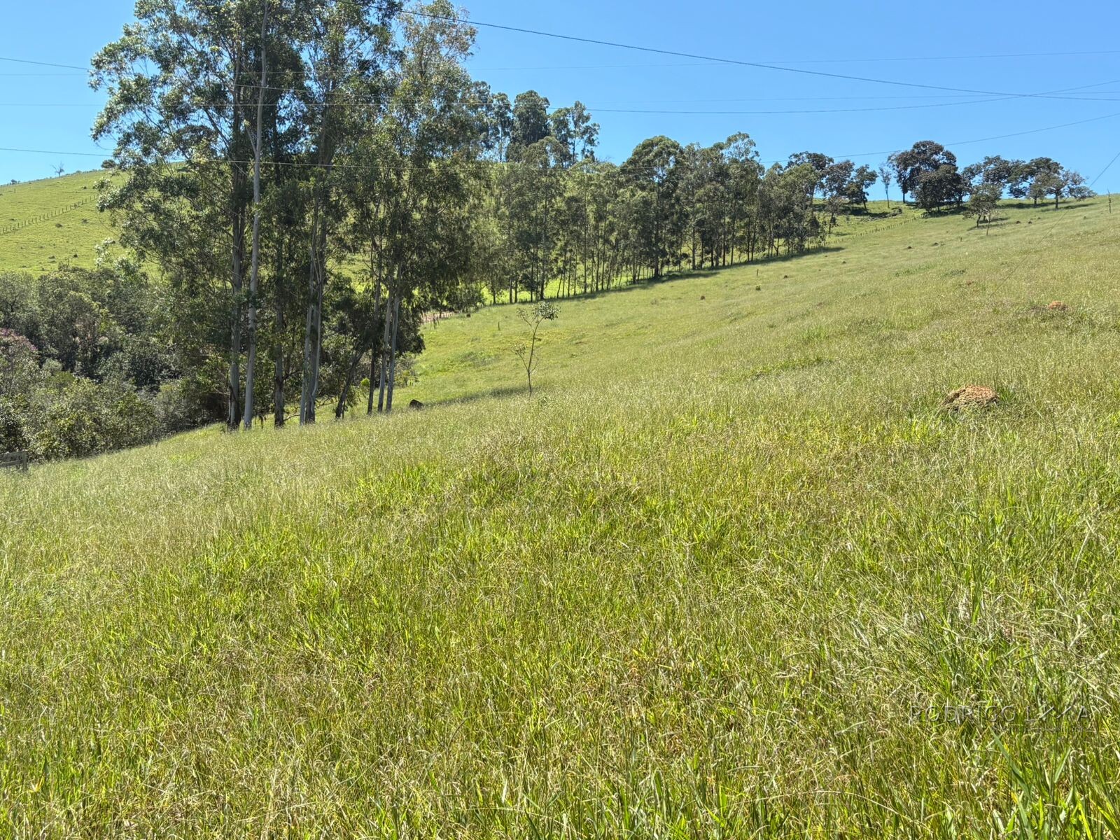 Terreno para venda em Dom Viçoso Mg