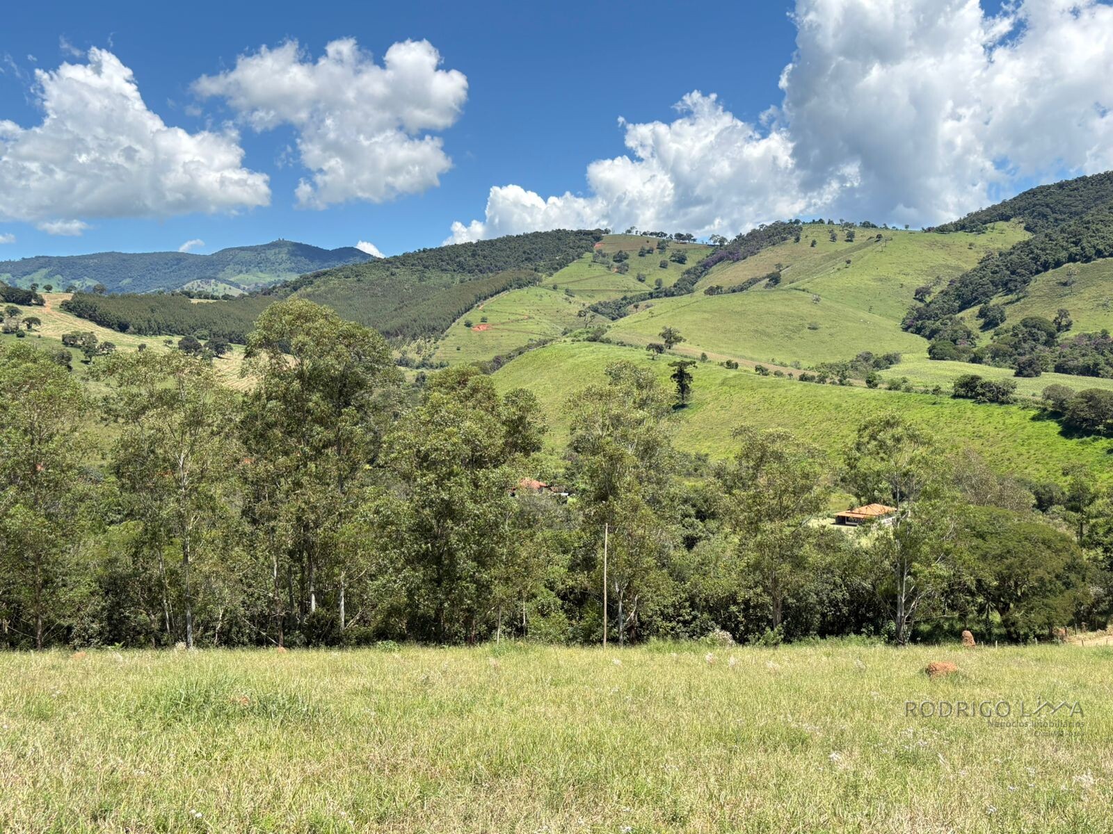 Terreno para venda em Dom Viçoso Mg