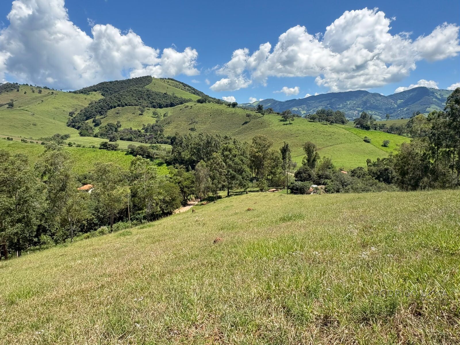 Terreno para venda em Dom Viçoso Mg