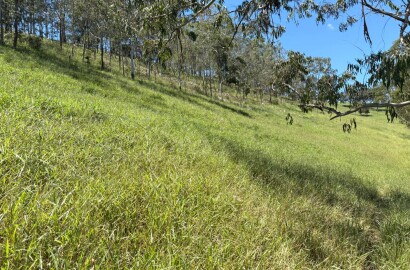 Terreno para venda em Dom Viçoso Mg