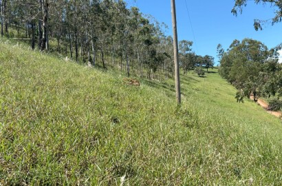 Terreno para venda em Dom Viçoso Mg
