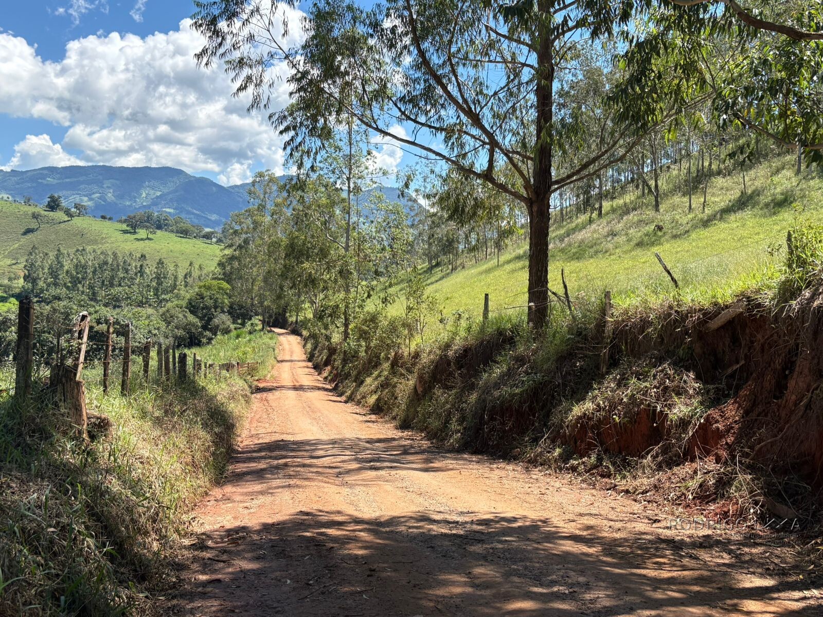 Terreno para venda em Dom Viçoso Mg