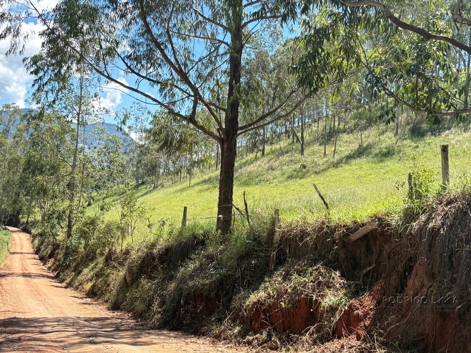 Terreno para venda em Dom Viçoso Mg