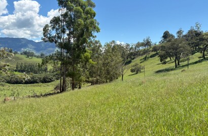 Terreno para venda em Dom Viçoso Mg
