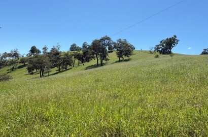 Terreno para venda em Dom Viçoso Mg