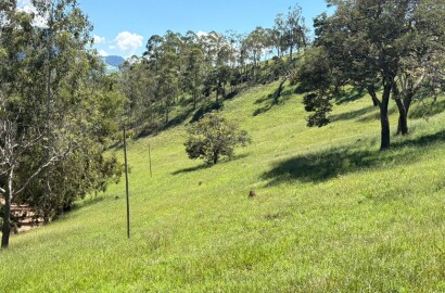 Terreno para venda em Dom Viçoso Mg