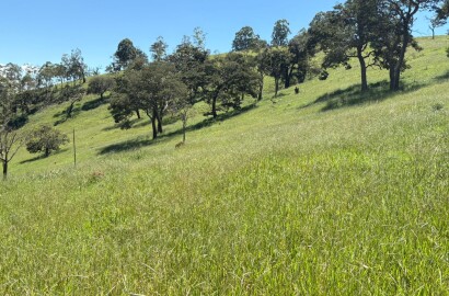 Terreno para venda em Dom Viçoso Mg