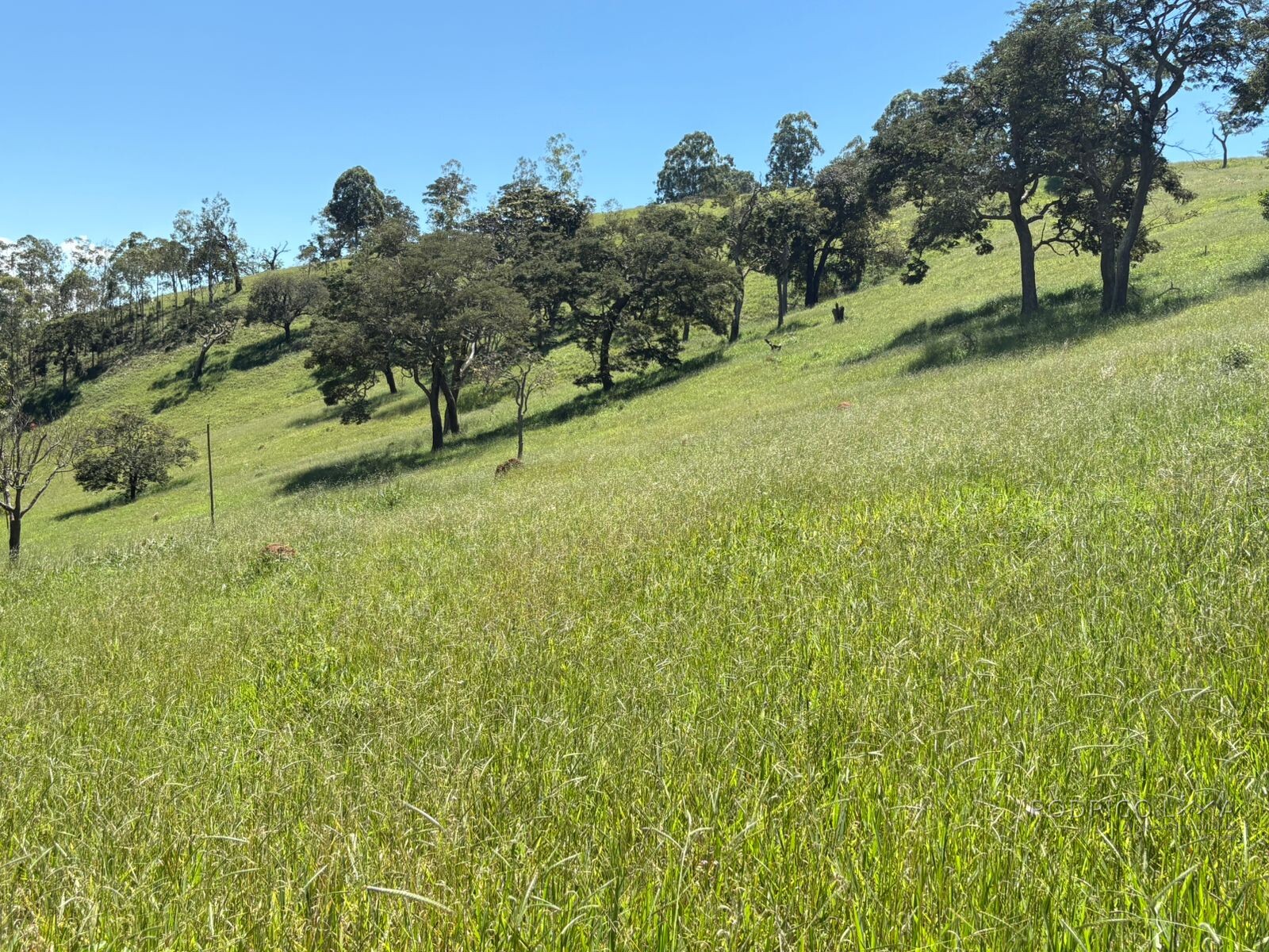 Terreno para venda em Dom Viçoso Mg