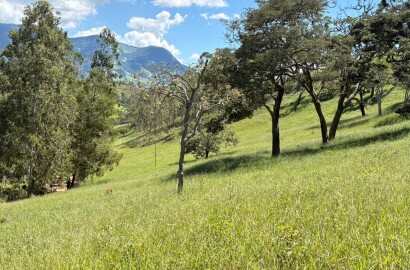 Terreno para venda em Dom Viçoso Mg