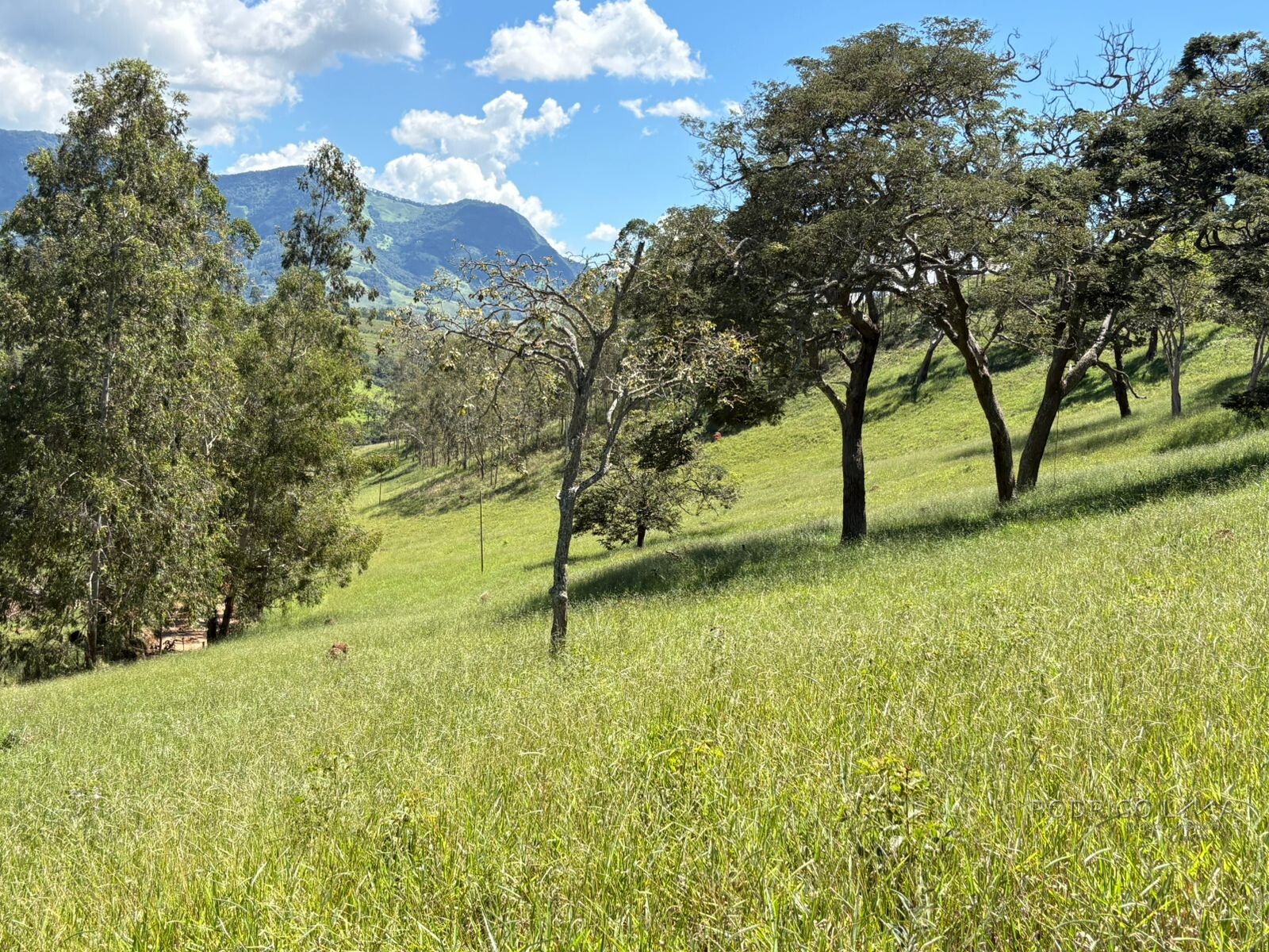 Terreno para venda em Dom Viçoso Mg
