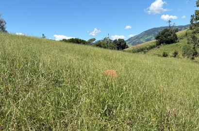 Terreno para venda em Dom Viçoso Mg
