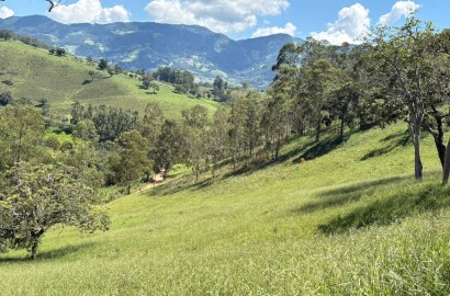 Terreno para venda em Dom Viçoso Mg