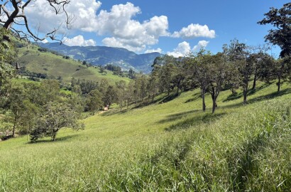 Terreno para venda em Dom Viçoso Mg