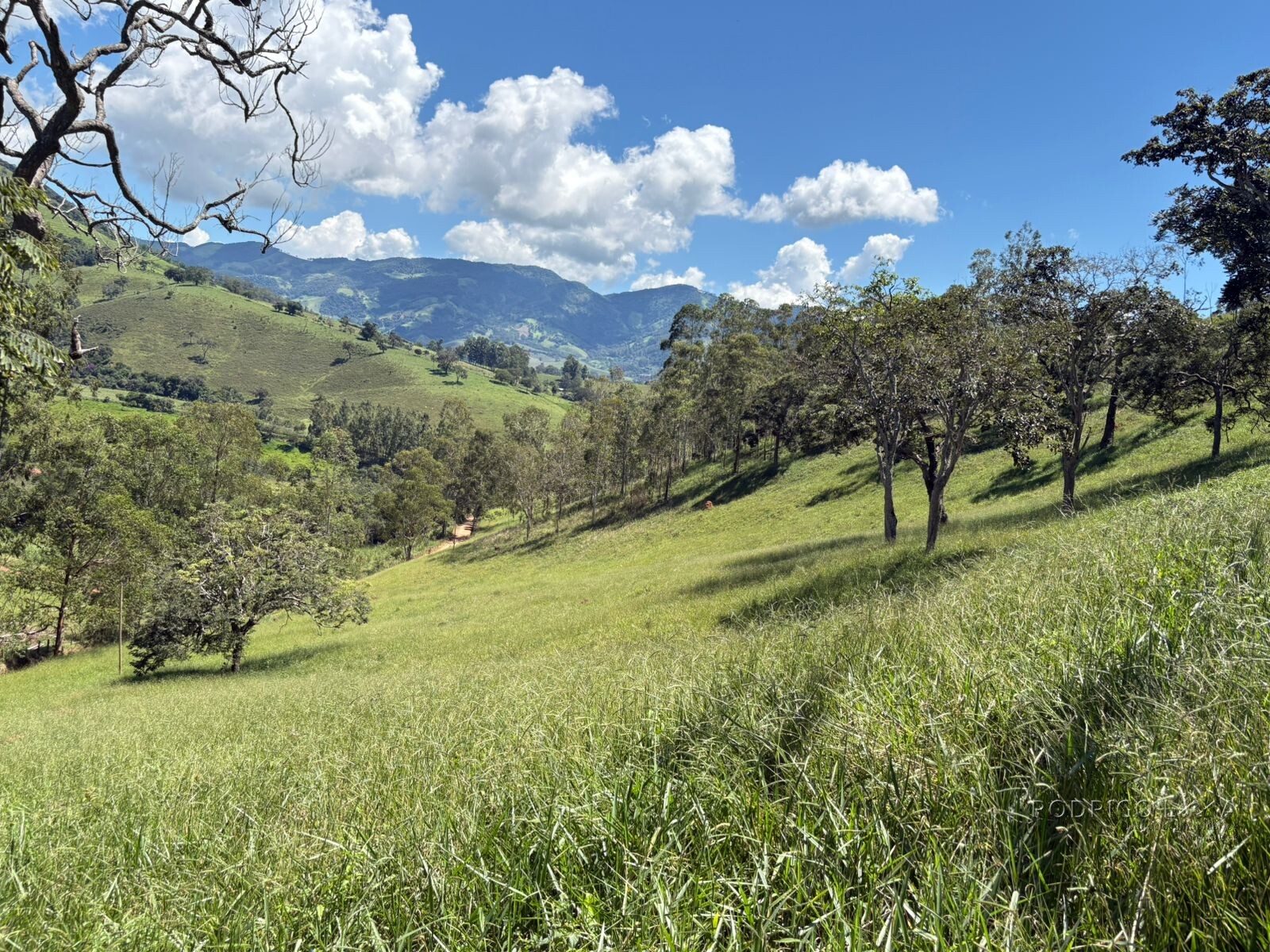 Terreno para venda em Dom Viçoso Mg