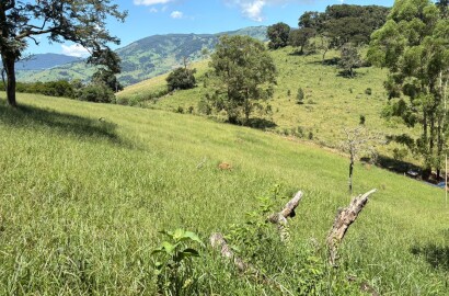 Terreno para venda em Dom Viçoso Mg