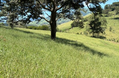 Terreno para venda em Dom Viçoso Mg