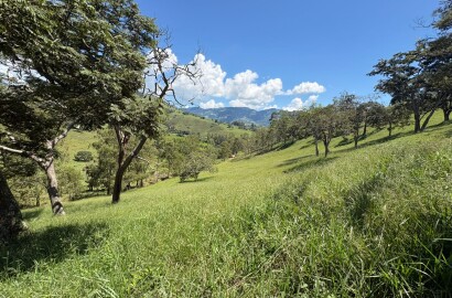 Terreno para venda em Dom Viçoso Mg