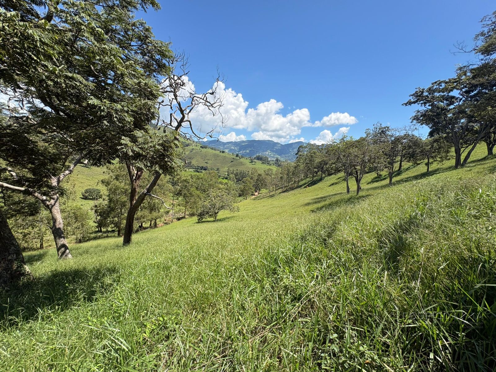 Terreno para venda em Dom Viçoso Mg
