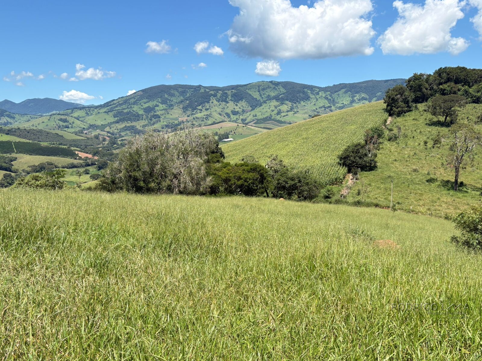 Terreno para venda em Dom Viçoso Mg