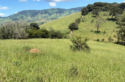Terreno para venda em Dom Viçoso Mg