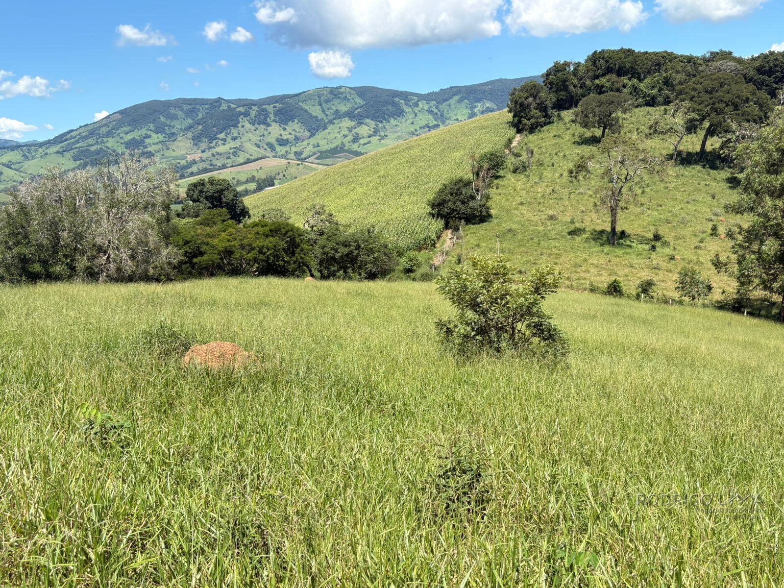 Terreno para venda em Dom Viçoso Mg