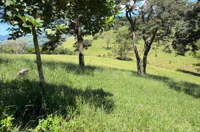 Terreno para venda em Dom Viçoso Mg