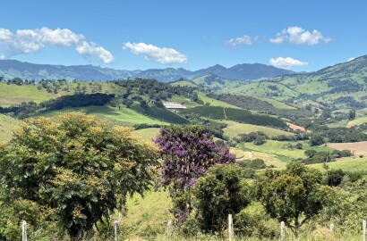 Terreno para venda em Dom Viçoso Mg