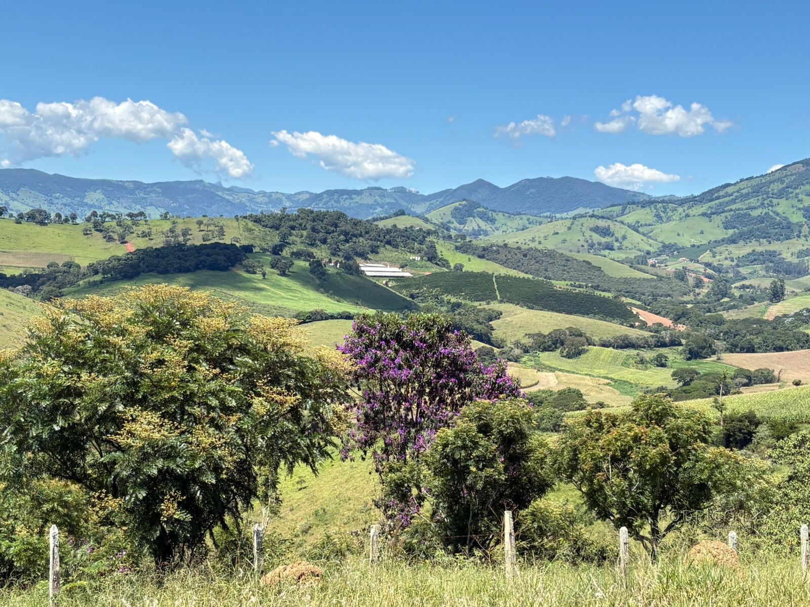 Terreno para venda em Dom Viçoso Mg