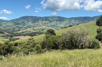 Terreno para venda em Dom Viçoso Mg