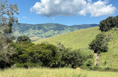 Terreno para venda em Dom Viçoso Mg