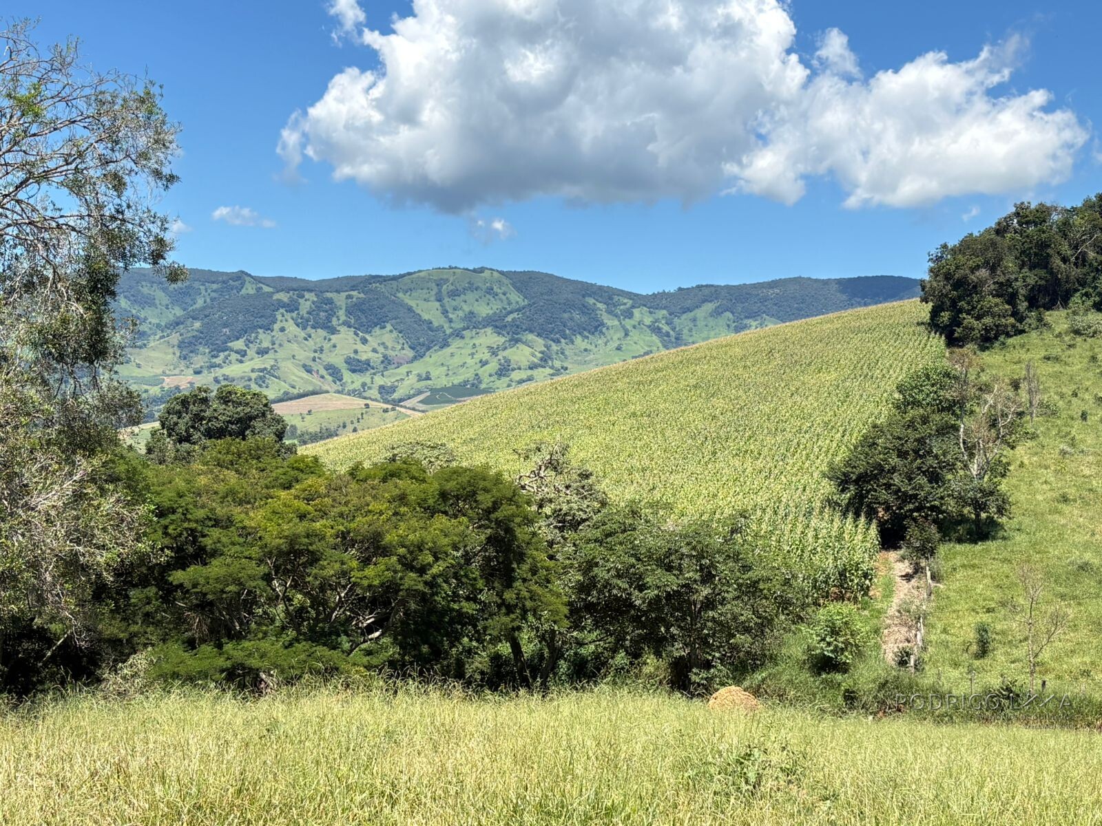 Terreno para venda em Dom Viçoso Mg