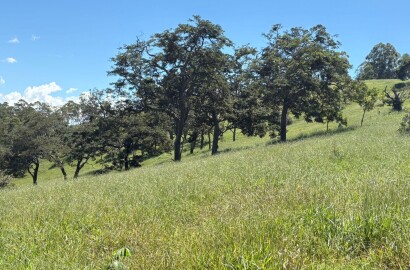 Terreno para venda em Dom Viçoso Mg