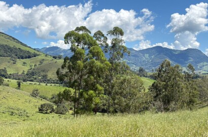 Terreno para venda em Dom Viçoso Mg