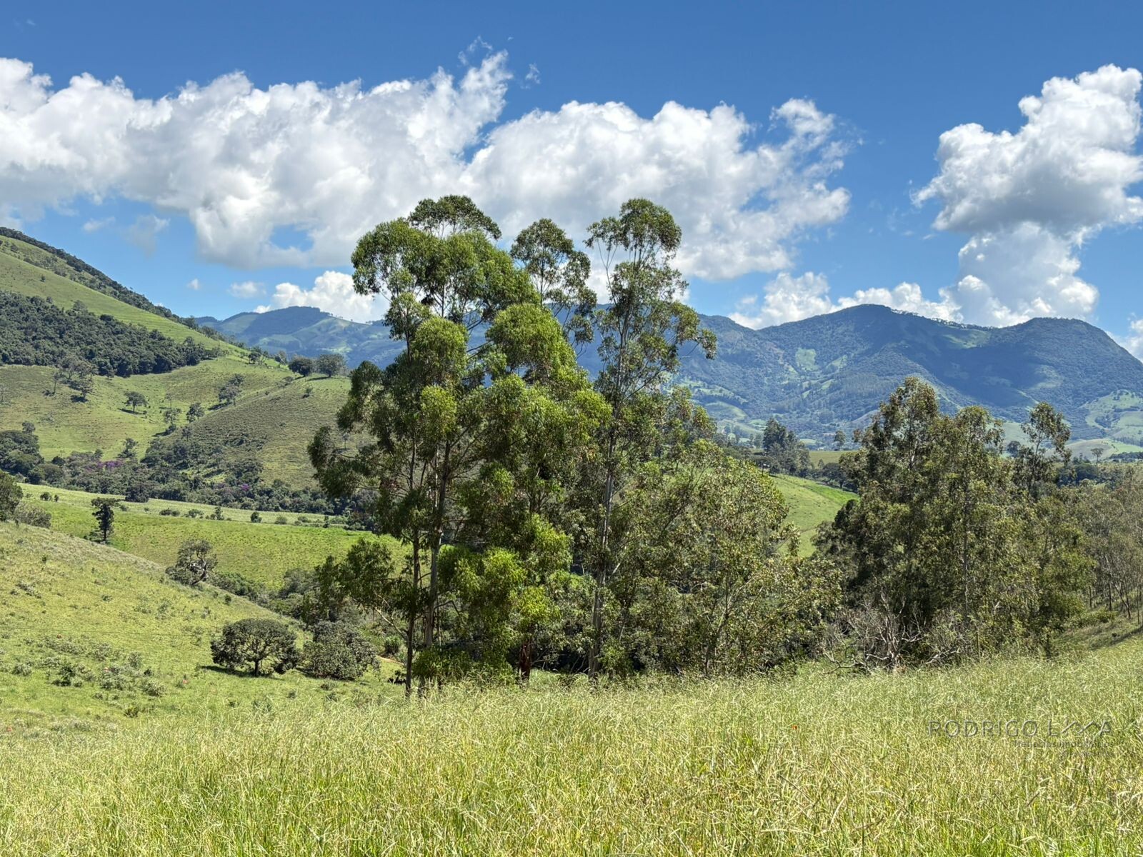 Terreno para venda em Dom Viçoso Mg