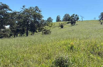 Terreno para venda em Dom Viçoso Mg
