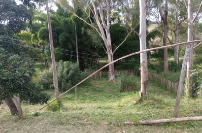 Terreno com casa para venda em Soledade de Minas MG