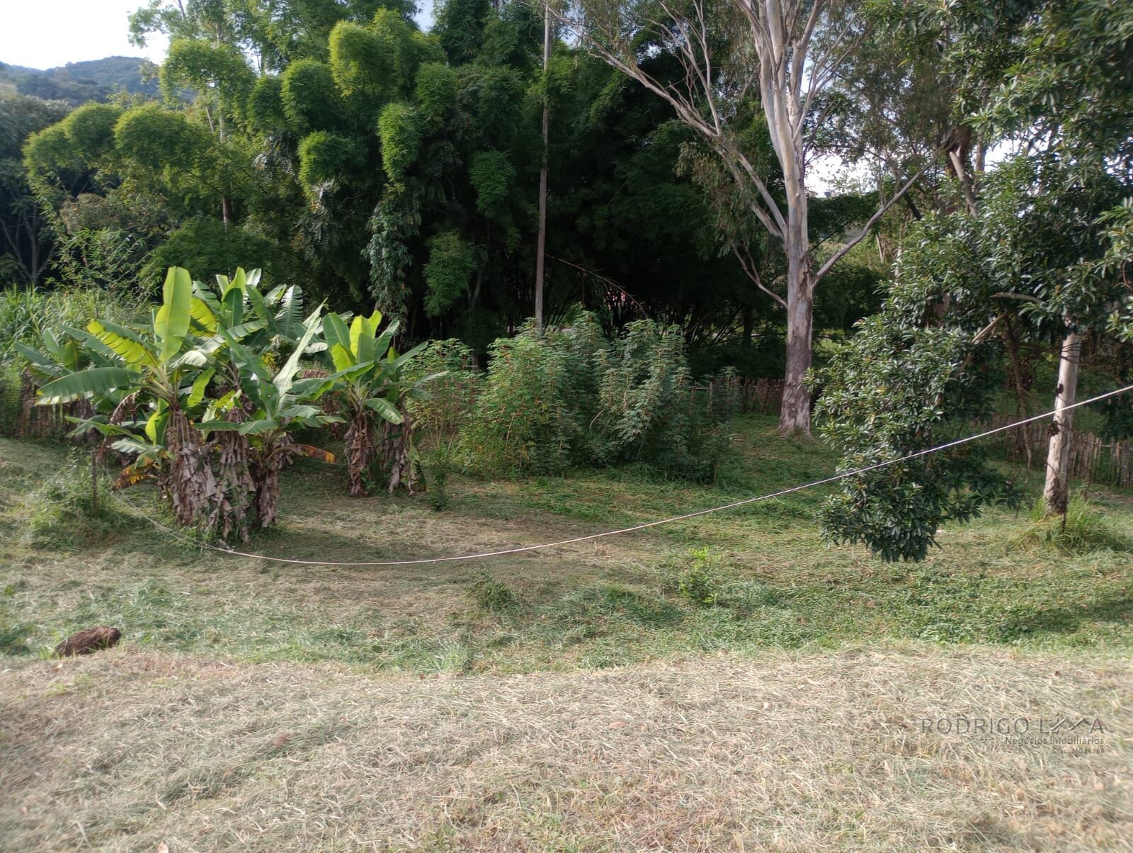 Terreno com casa para venda em Soledade de Minas MG