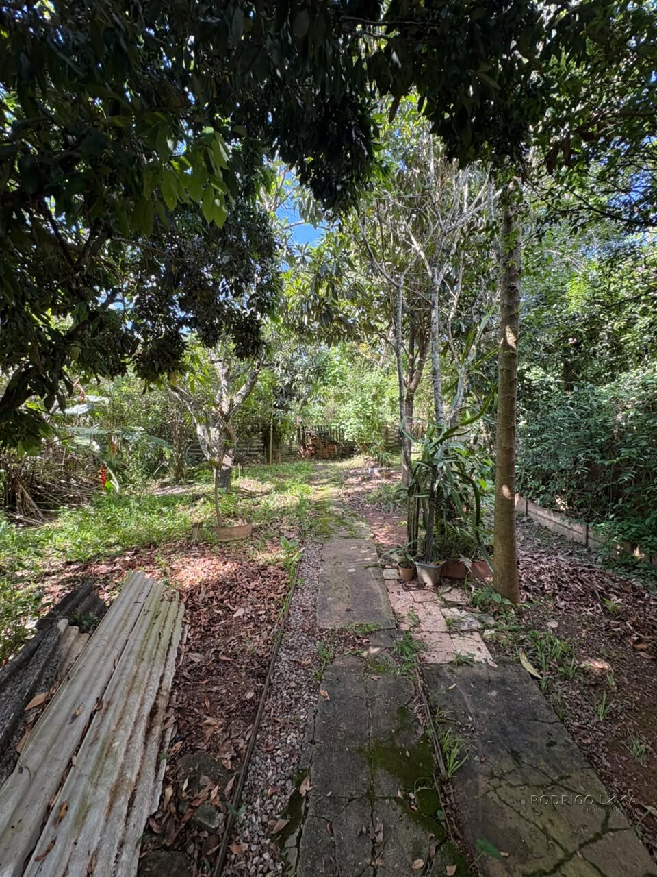 Imóvel comercial e residencial para venda em São Lourenço MG