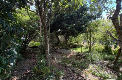 Imóvel comercial e residencial para venda em São Lourenço MG