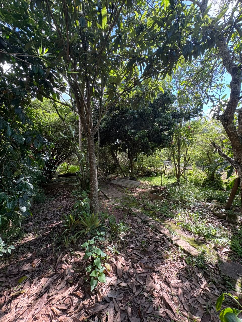 Imóvel comercial e residencial para venda em São Lourenço MG