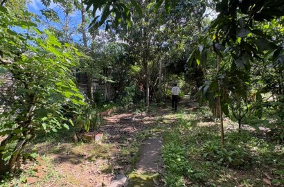 Imóvel comercial e residencial para venda em São Lourenço MG