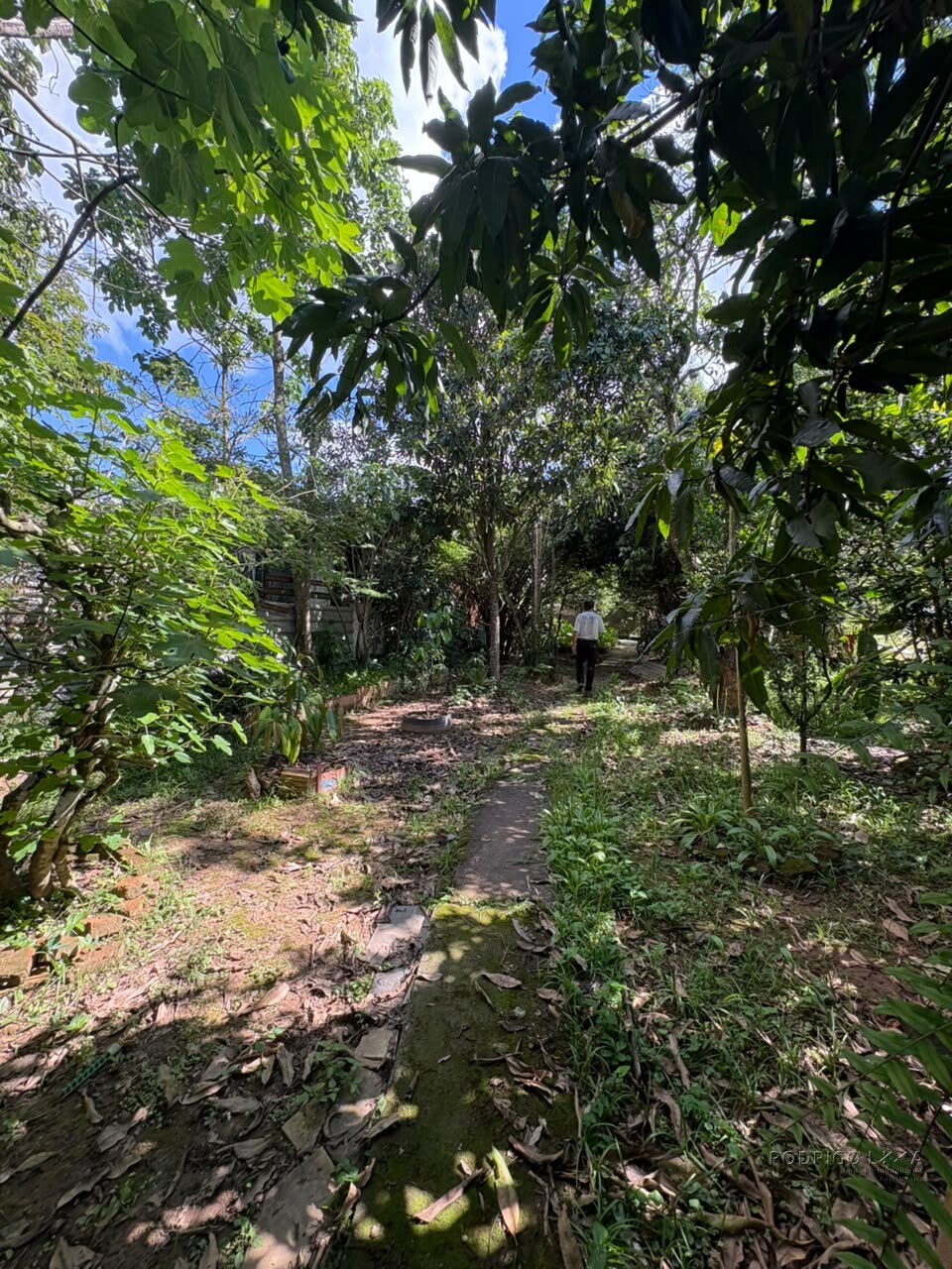 Imóvel comercial e residencial para venda em São Lourenço MG