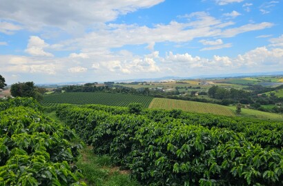 Fazenda para venda em Três Corações MG