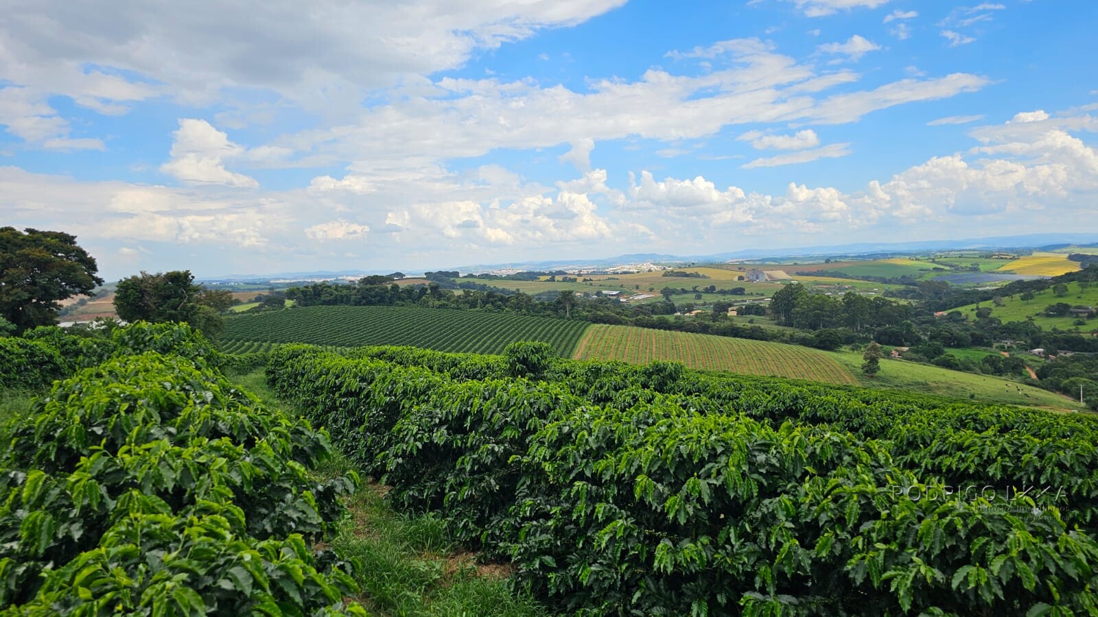 Fazenda para venda em Três Corações MG