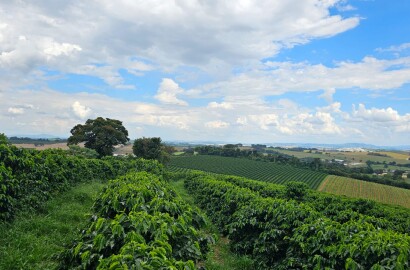 Fazenda para venda em Três Corações MG