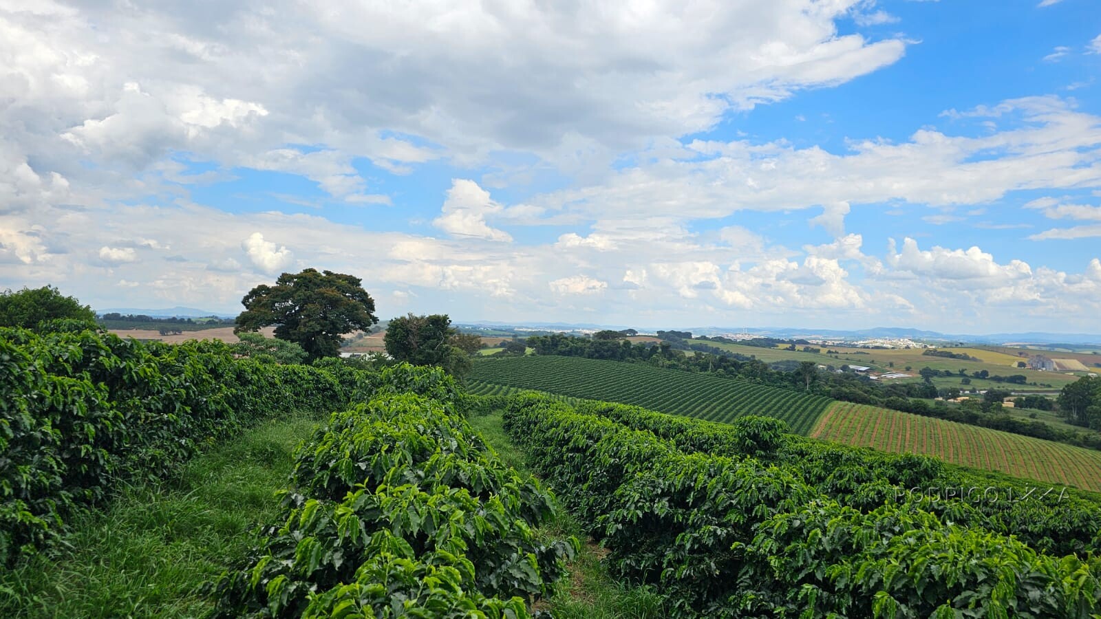 Fazenda para venda em Três Corações MG