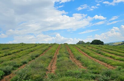 Fazenda para venda em Três Corações MG